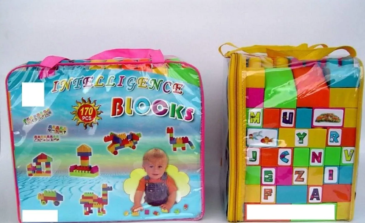 Building blocks in a zip bag, 170 pieces